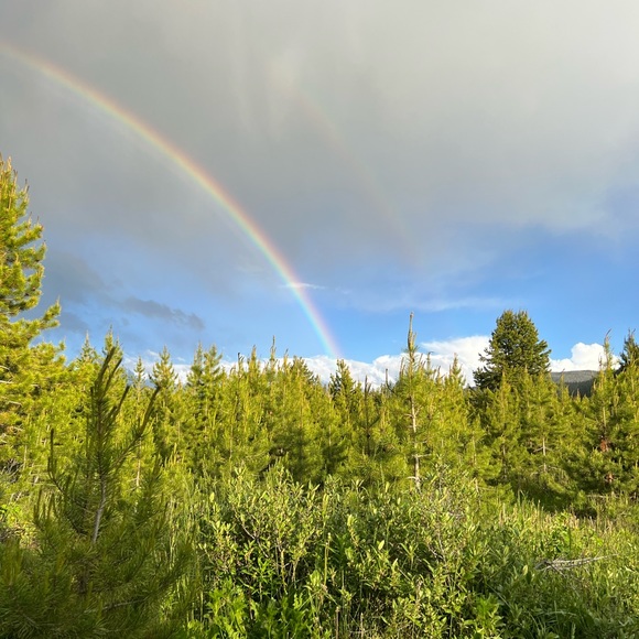 New Join me for fun shopping 🛍️ Livestream notification! 📣 - Picture 3 of 16